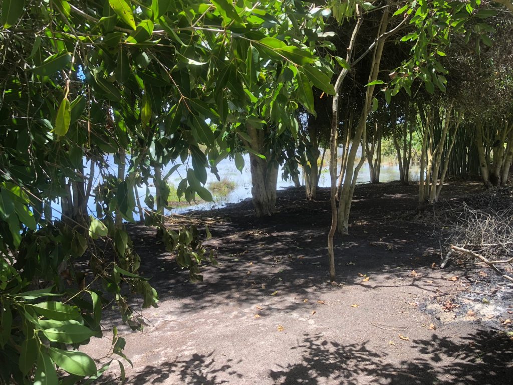 Chácaras à partir de 1000m2 Medindo 20×50 Região do São Domingos