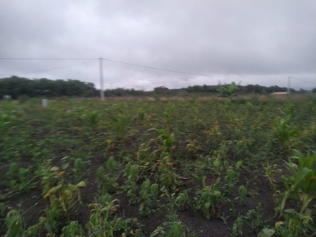 Sítio na região da barra do choça Sítio na região da barra do choça