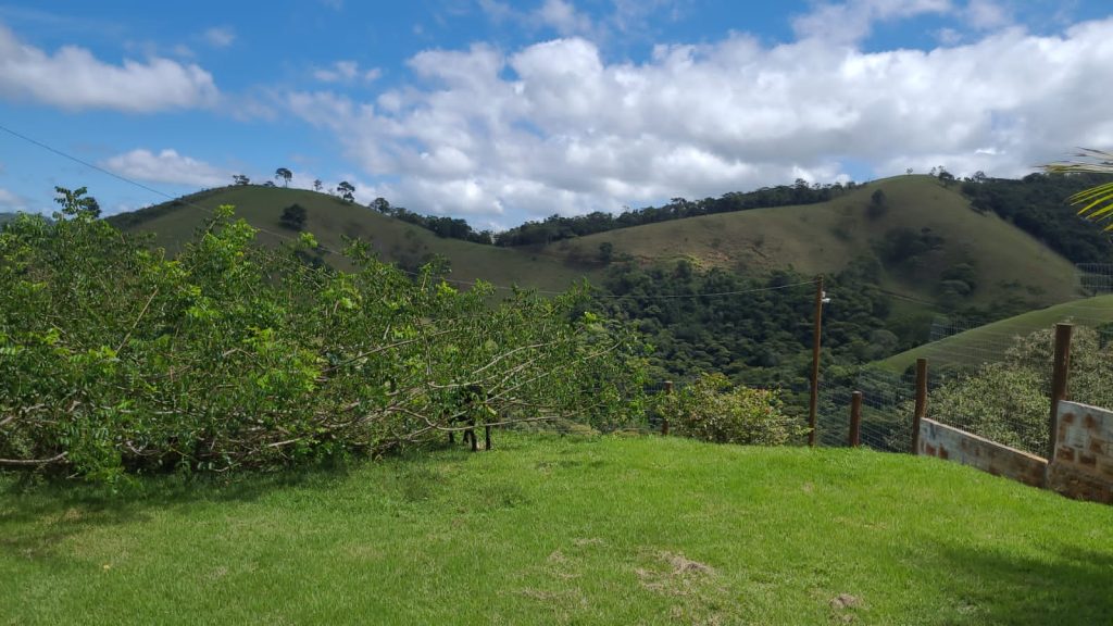 Fazenda de 76 hectares Na região de Itambé Fazenda de 76 hectares Na região de Itambé