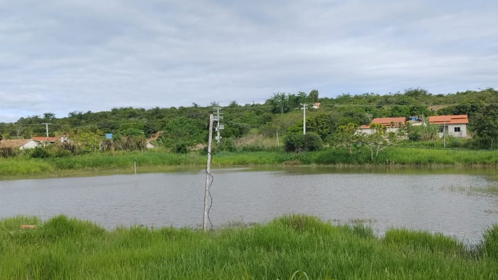 Fazendinha de 10 hectares a 8 km de conquista Fazendinha de 10 hectares a 8 km de conquista