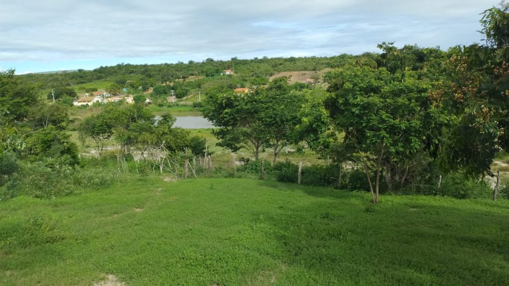 Fazendinha de 10 hectares a 8 km de conquista Fazendinha de 10 hectares a 8 km de conquista