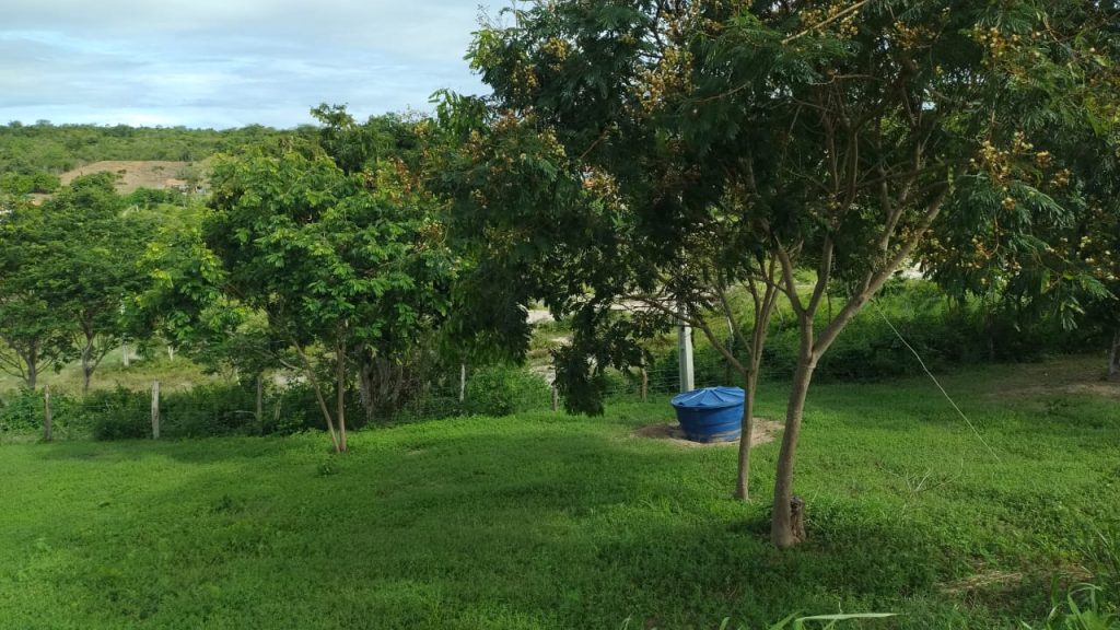 Fazendinha de 10 hectares a 8 km de conquista Fazendinha de 10 hectares a 8 km de conquista