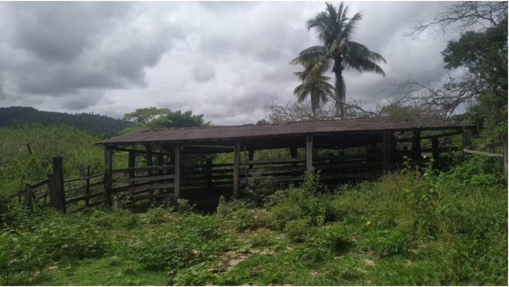 Fazenda de 12 alqueires na região de Macarani Fazenda de 12 alqueires na região de Macarani