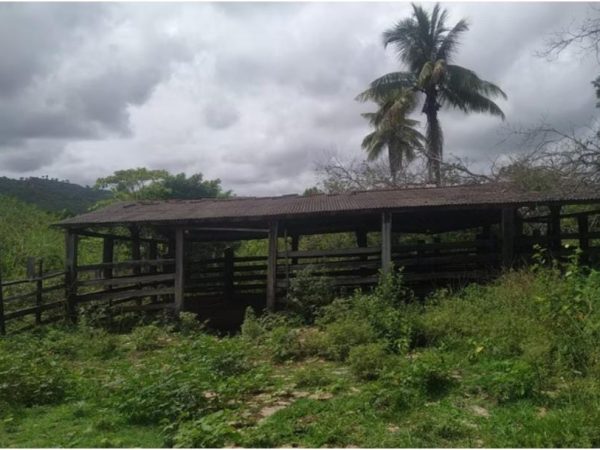 Fazenda de 12 alqueires na região de Macarani