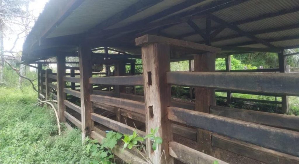 Fazenda de 12 alqueires na região de Macarani Fazenda de 12 alqueires na região de Macarani