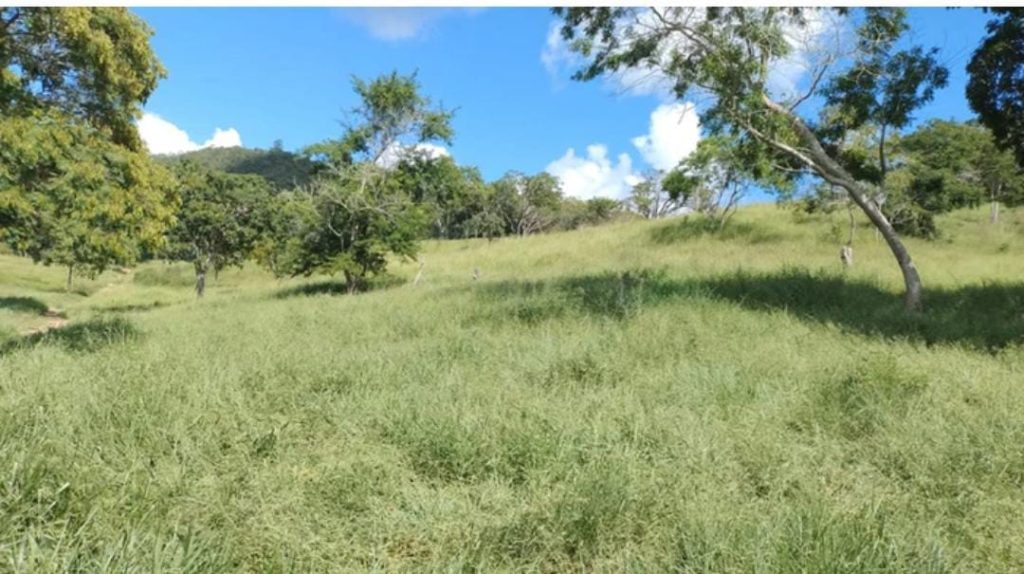 Fazenda na Região de Pedra Azul, Com uma área total de 18 alqueires