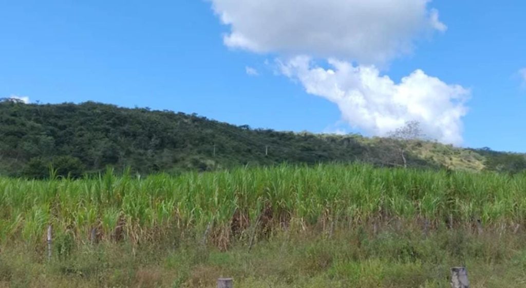 Fazenda na Região de Pedra Azul, Com uma área total de 18 alqueires