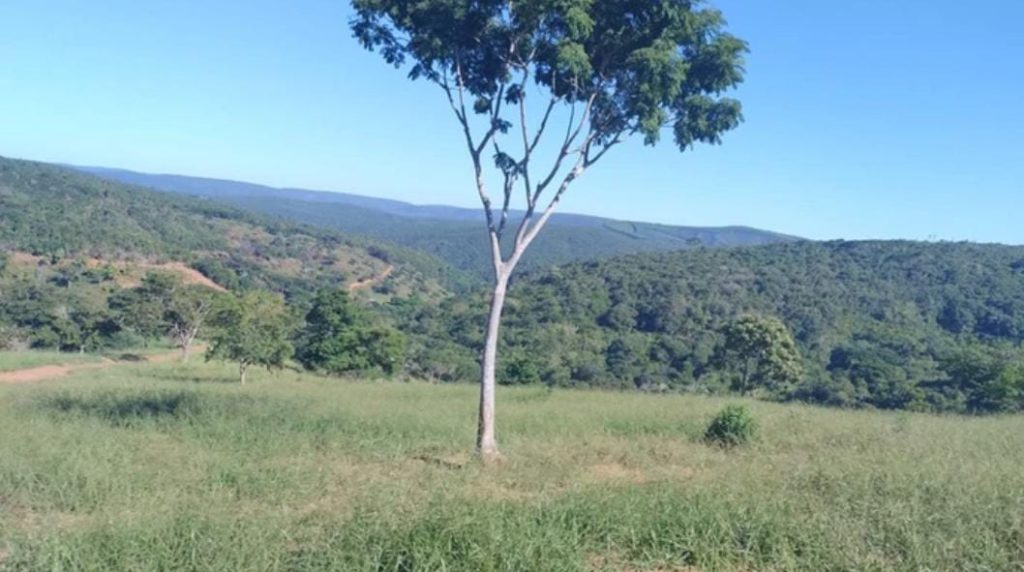 Fazenda na Região de Pedra Azul, Com uma área total de 18 alqueires