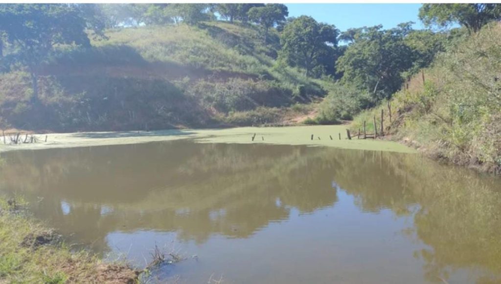 Fazenda na Região de Pedra Azul, Com uma área total de 18 alqueires