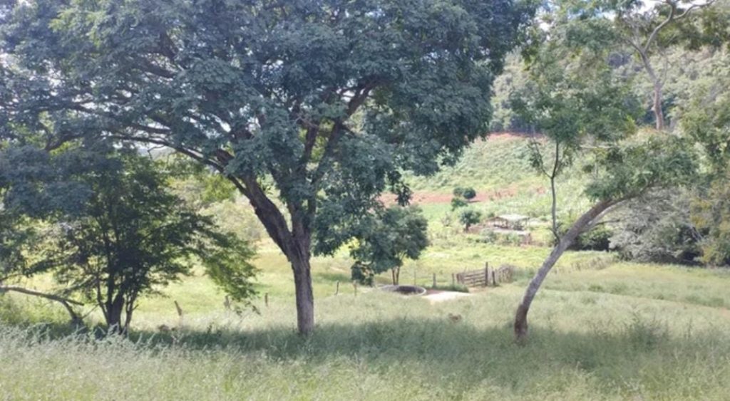 Fazenda na Região de Pedra Azul, Com uma área total de 18 alqueires