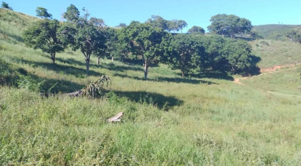 Fazenda na Região de Pedra Azul, Com uma área total de 18 alqueires