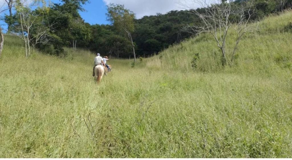 Fazenda na Região de Pedra Azul, Com uma área total de 18 alqueires