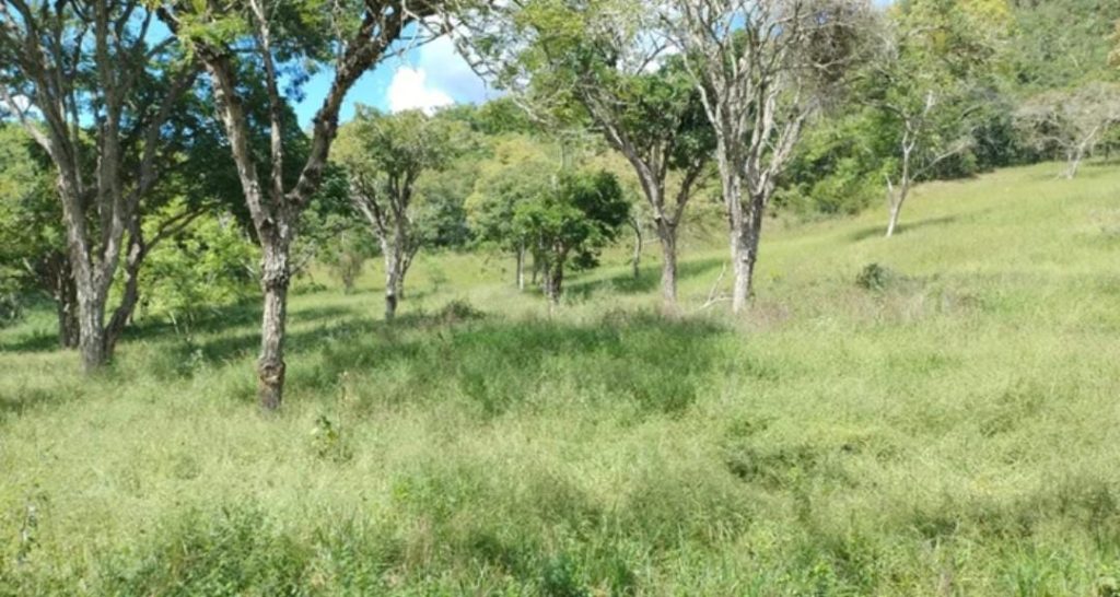 Fazenda na Região de Pedra Azul, Com uma área total de 18 alqueires