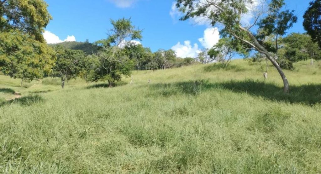 Fazenda na Região de Pedra Azul, Com uma área total de 18 alqueires