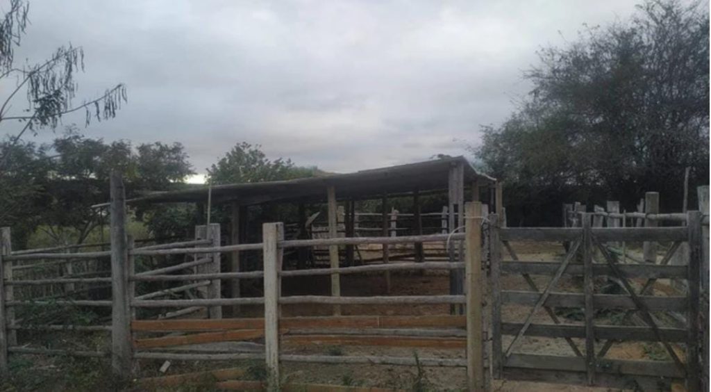 Fazenda de 4 alqueires