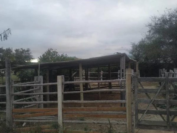Fazenda de 4 alqueires