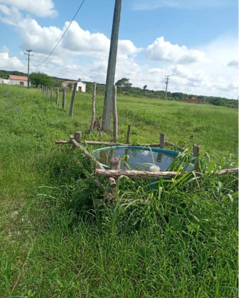 Fazenda de 4 alqueires