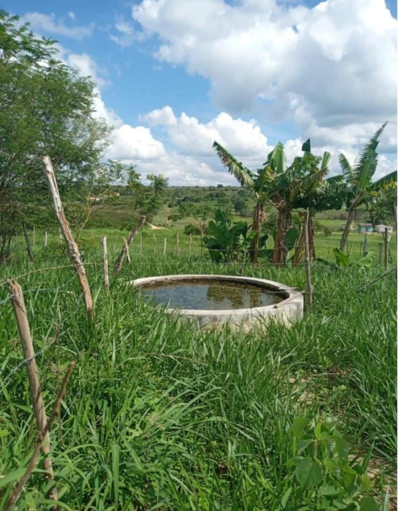 Fazenda de 4 alqueires