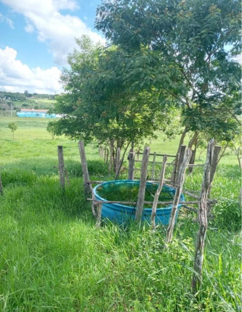 Fazenda de 4 alqueires