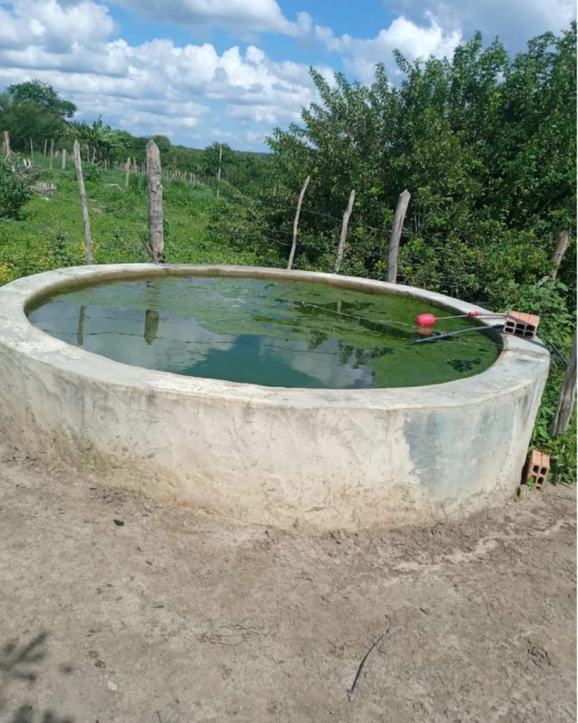 Fazenda de 4 alqueires