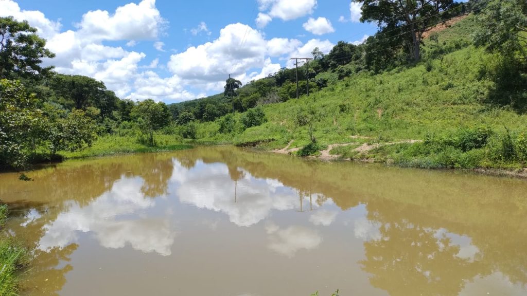 Fazenda saudade de 25 alqueires na região de pedra azul Fazenda saudade de 25 alqueires na região de pedra azul