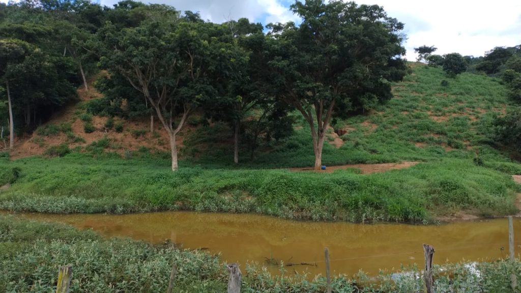 Fazenda saudade de 11 alqueires na região de pedra azul Fazenda saudade de 11 alqueires na região de pedra azul
