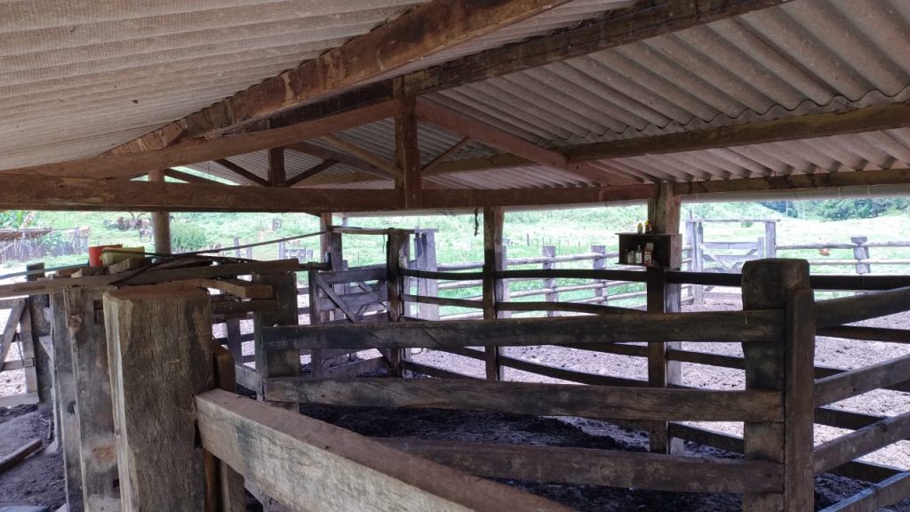 Fazenda saudade de 11 alqueires na região de pedra azul Fazenda saudade de 11 alqueires na região de pedra azul
