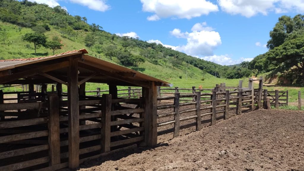 Fazenda saudade de 11 alqueires na região de pedra azul Fazenda saudade de 11 alqueires na região de pedra azul