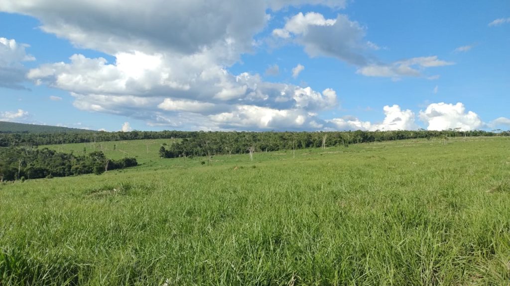 Fazenda saudade de 11 alqueires na região de pedra azul Fazenda saudade de 11 alqueires na região de pedra azul