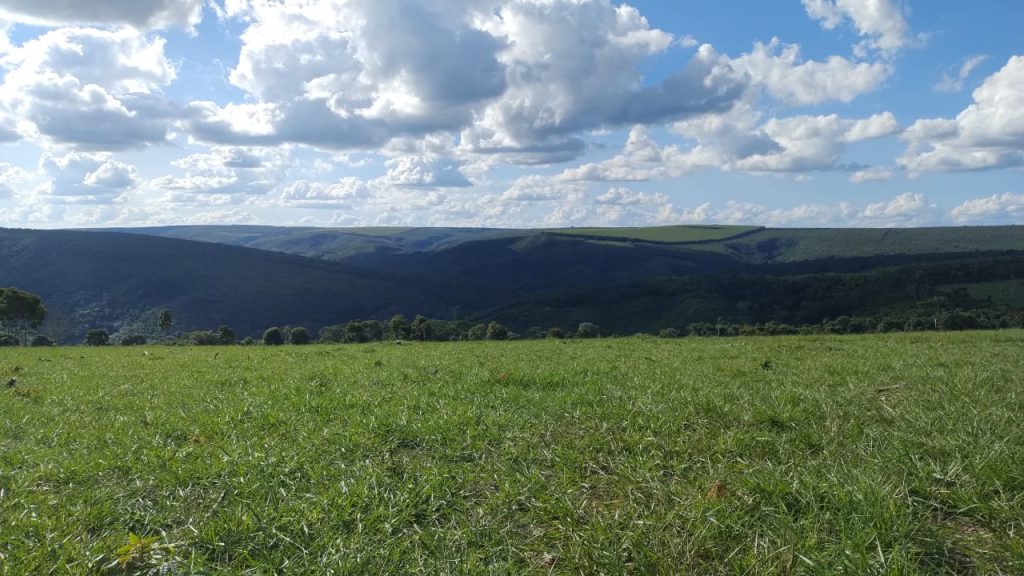 Fazenda saudade de 11 alqueires na região de pedra azul Fazenda saudade de 11 alqueires na região de pedra azul