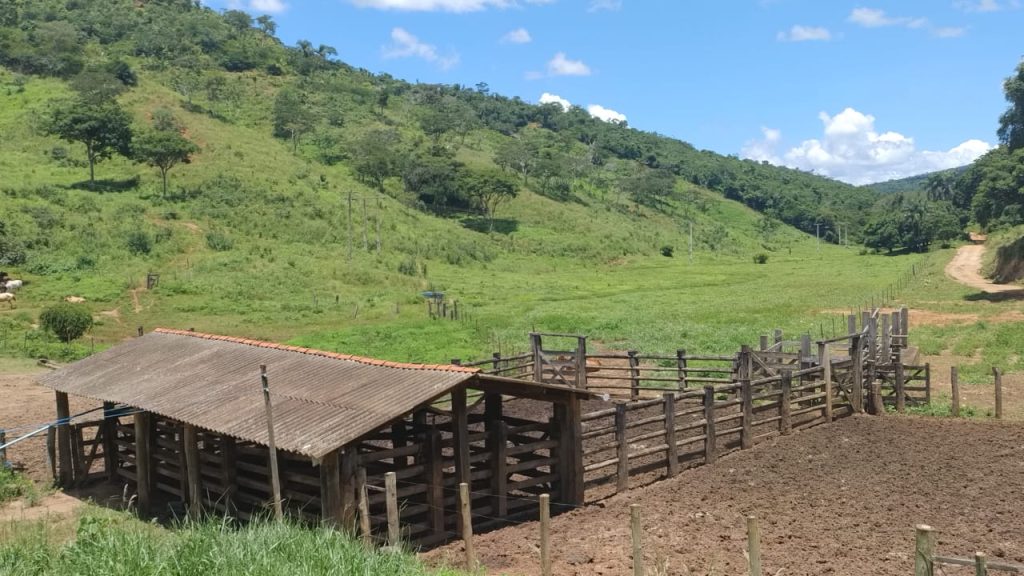 Fazenda saudade de 11 alqueires na região de pedra azul Fazenda saudade de 11 alqueires na região de pedra azul