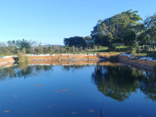 Fazenda na região da Barra do Choça  São 6 alqueires.