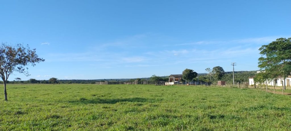 Fazenda na região da Barra do Choça São 6 alqueires. Fazenda na região da Barra do Choça São 6 alqueires.