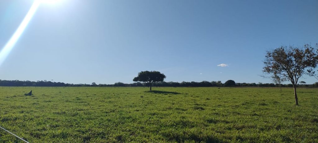 Fazenda na região da Barra do Choça São 6 alqueires. Fazenda na região da Barra do Choça São 6 alqueires.