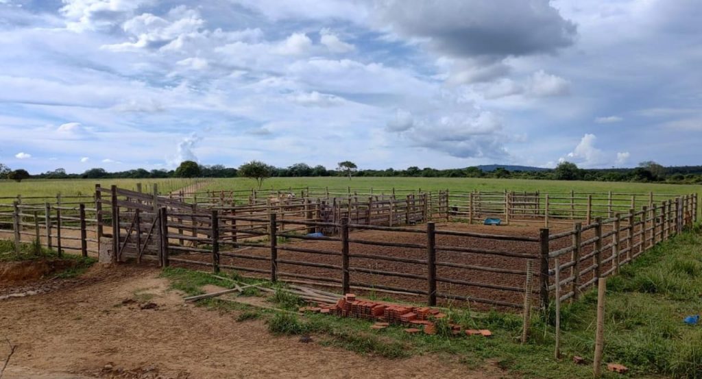 Fazenda na região da Barra do Choça São 6 alqueires. Fazenda na região da Barra do Choça São 6 alqueires.