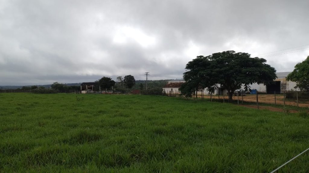 Fazenda na região da Barra do Choça São 6 alqueires. Fazenda na região da Barra do Choça São 6 alqueires.