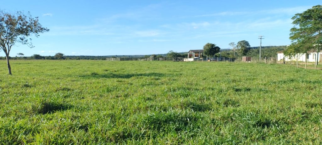 Fazenda na região da Barra do Choça São 6 alqueires. Fazenda na região da Barra do Choça São 6 alqueires.