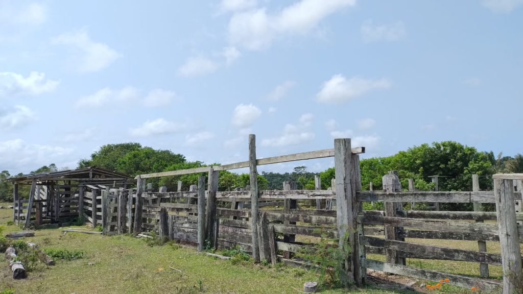Fazenda de 40 alqueires a 7 km da praia e 22 km de Cabrália Porto seguro Fazenda de 40 alqueires a 7 km da praia e 22 km de Cabrália Porto seguro