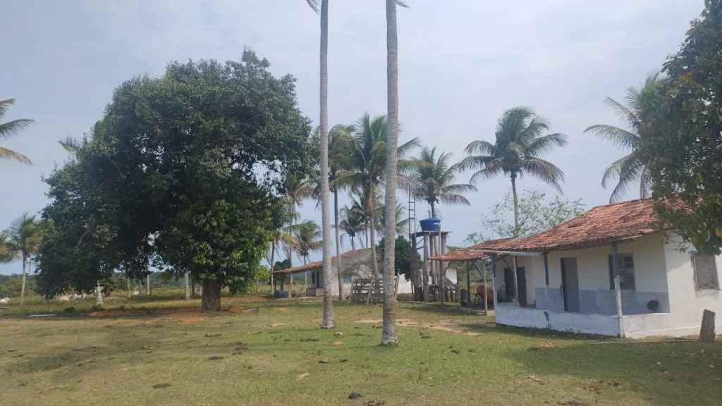 Fazenda de 40 alqueires a 7 km da praia e 22 km de Cabrália Porto seguro Fazenda de 40 alqueires a 7 km da praia e 22 km de Cabrália Porto seguro