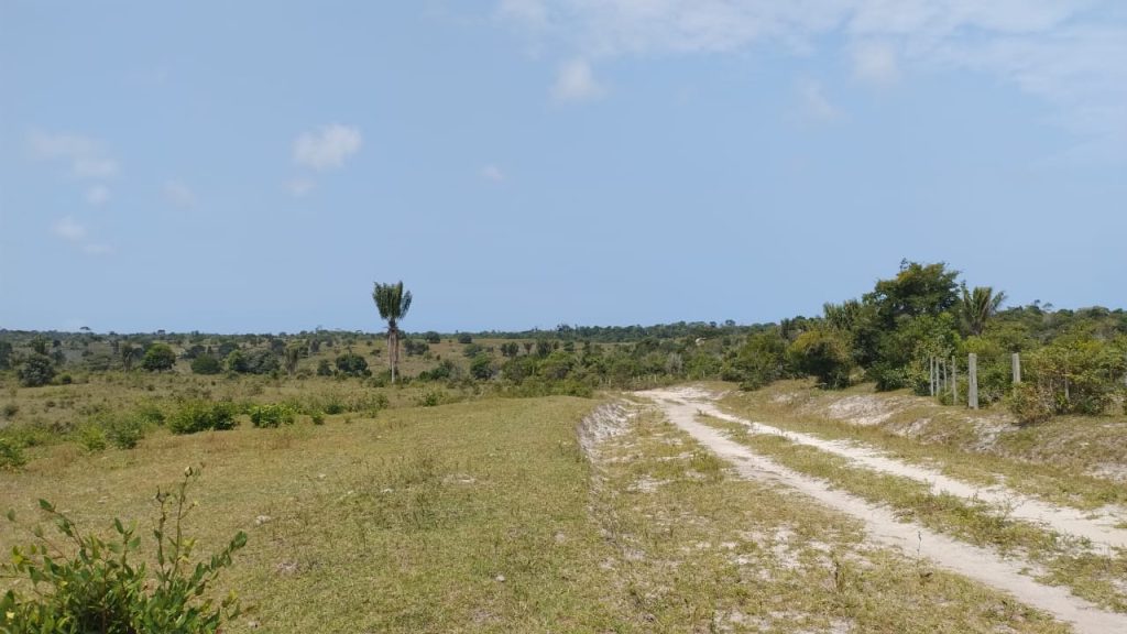 Fazenda de 40 alqueires a 7 km da praia e 22 km de Cabrália Porto seguro Fazenda de 40 alqueires a 7 km da praia e 22 km de Cabrália Porto seguro