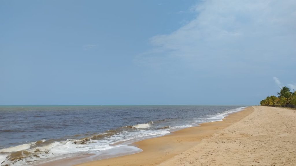 Fazenda de 40 alqueires a 7 km da praia e 22 km de Cabrália Porto seguro Fazenda de 40 alqueires a 7 km da praia e 22 km de Cabrália Porto seguro