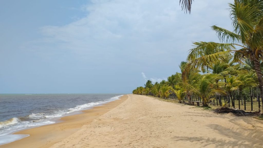 Fazenda de 40 alqueires a 7 km da praia e 22 km de Cabrália Porto seguro Fazenda de 40 alqueires a 7 km da praia e 22 km de Cabrália Porto seguro