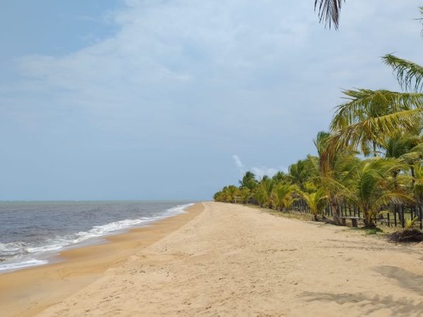 Fazenda de 40 alqueires a 7 km da praia e 22 km de Cabrália Porto seguro