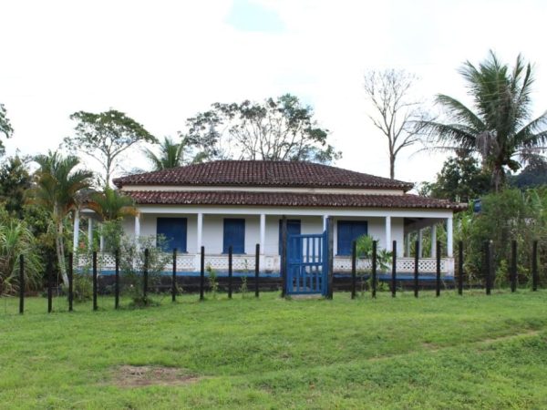 Fazenda de Cacau e pecuária São 205 hectares Na região de Uruçuca: informações: (77) 99124-3413 Rodrigo Patez