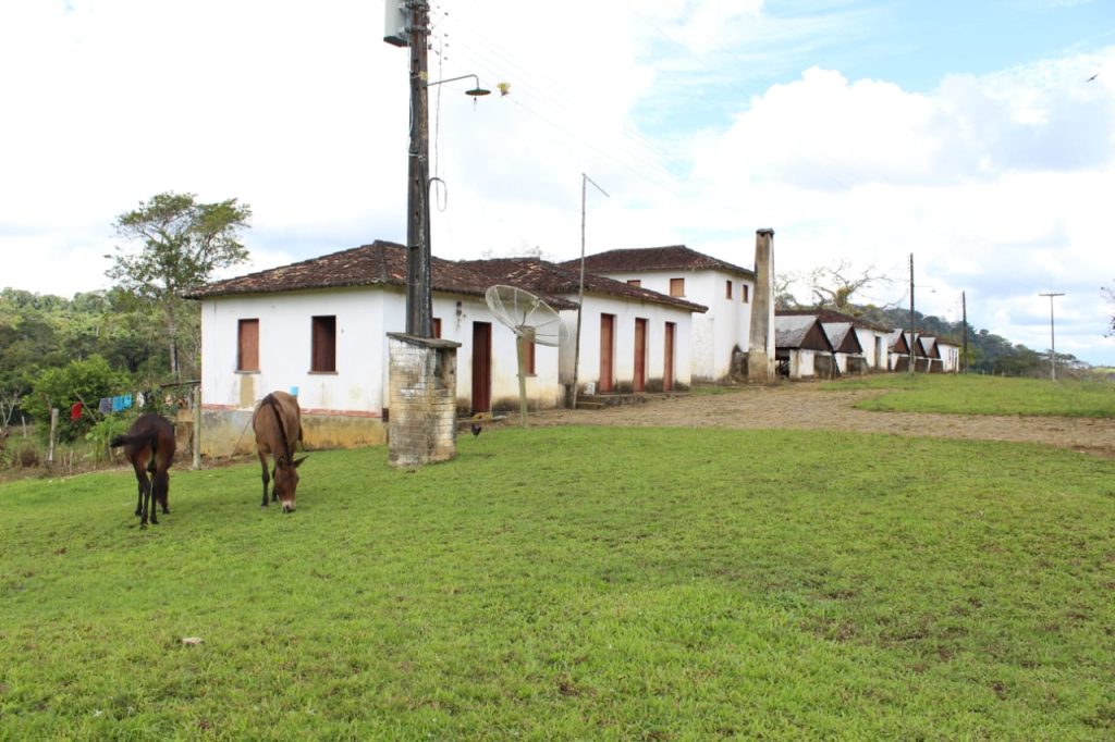 Fazenda de Cacau e pecuária São 205 hectares Na região de Uruçuca: informações: (77) 99124-3413 Rodrigo Patez Fazenda de Cacau e pecuária São 205 hectares Na região de Uruçuca: informações: (77) 99124-3413 Rodrigo Patez