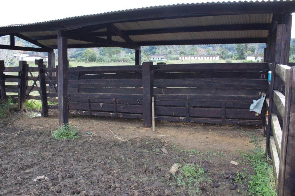 Fazenda de Cacau e pecuária São 205 hectares Na região de Uruçuca: informações: (77) 99124-3413 Rodrigo Patez Fazenda de Cacau e pecuária São 205 hectares Na região de Uruçuca: informações: (77) 99124-3413 Rodrigo Patez