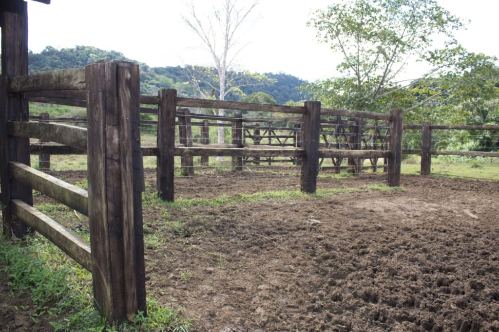 Fazenda de Cacau e pecuária São 205 hectares Na região de Uruçuca: informações: (77) 99124-3413 Rodrigo Patez Fazenda de Cacau e pecuária São 205 hectares Na região de Uruçuca: informações: (77) 99124-3413 Rodrigo Patez