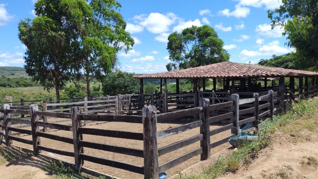 Fazenda de 12 alqueires a 16 km de poções Fazenda de 12 alqueires a 16 km de poções