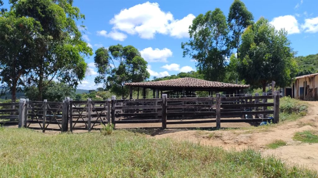 Fazenda de 12 alqueires a 16 km de poções Fazenda de 12 alqueires a 16 km de poções