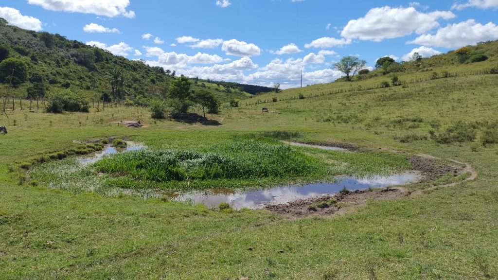 Fazenda de 12 alqueires a 16 km de poções Fazenda de 12 alqueires a 16 km de poções